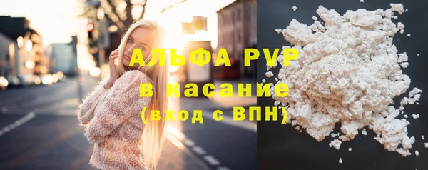 стаф Иннополис