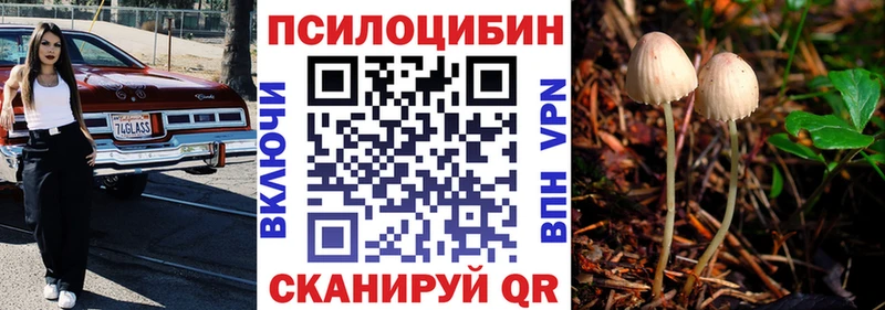 Галлюциногенные грибы Psilocybe  Купить закладки  Сокол 